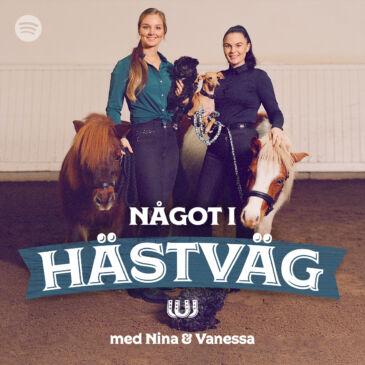 Något i Hästväg!